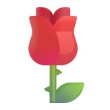 rose