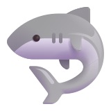shark