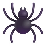 spider
